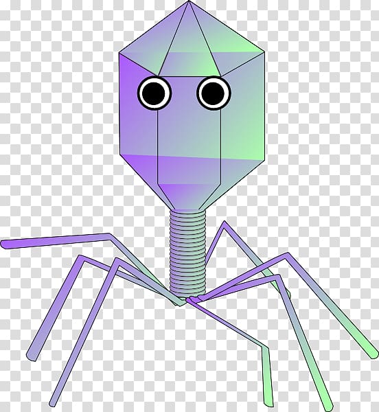 Virus Viral Bacteriophage , biology transparent background PNG clipart