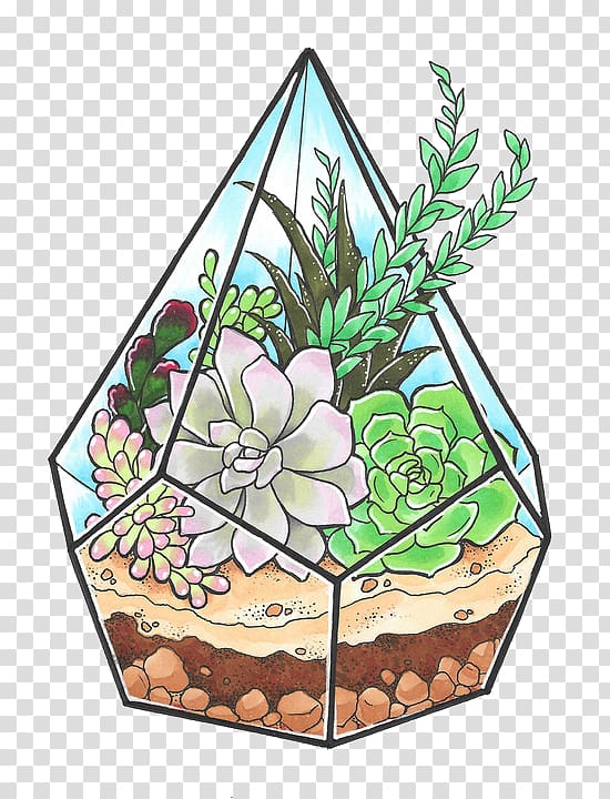cartoon cactus succulents transparent background PNG clipart