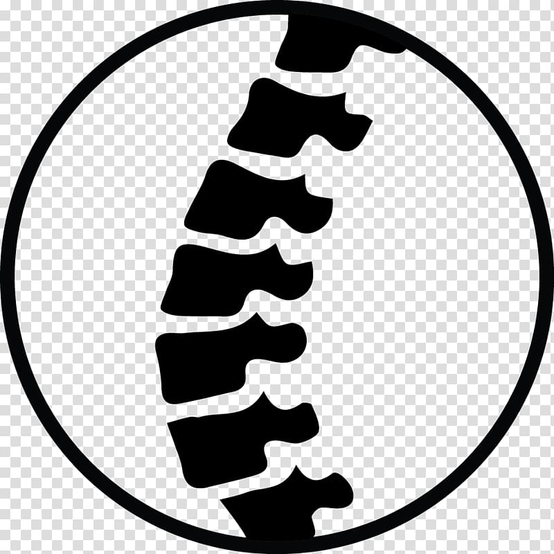 Buckingham Chiropractic Pain in spine Go Lightly Chiropractic Dr. Seth Miller Krueger Chiropractic LLC, chiropractor transparent background PNG clipart