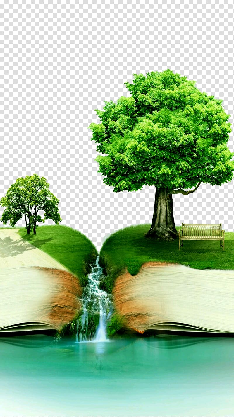 green tree illustration, The Design of Everyday Things World Book Day Reading National Book Day, Creative books transparent background PNG clipart