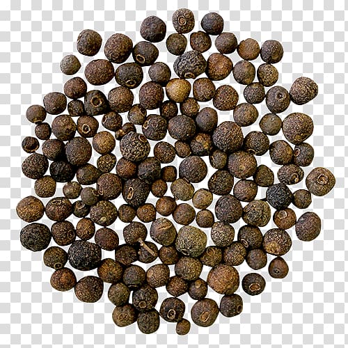 Allspice, others transparent background PNG clipart