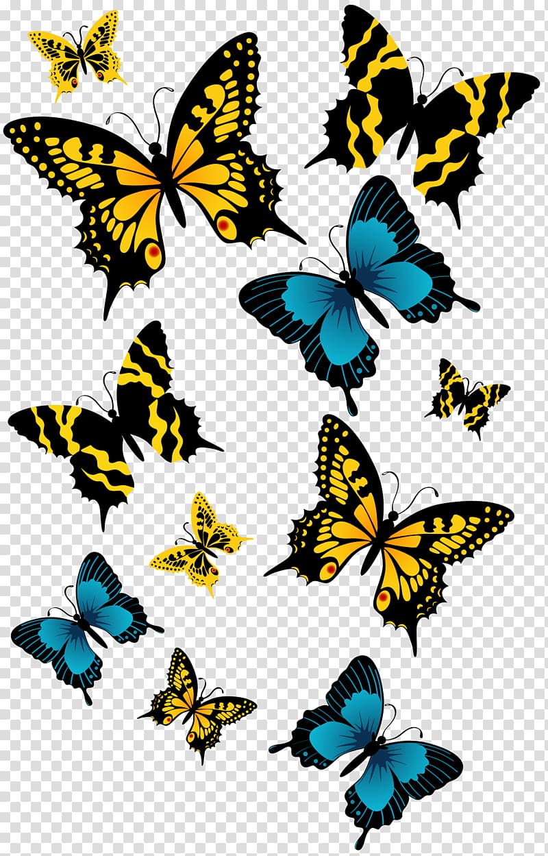 Butterfly Encapsulated PostScript , buterfly transparent background PNG clipart