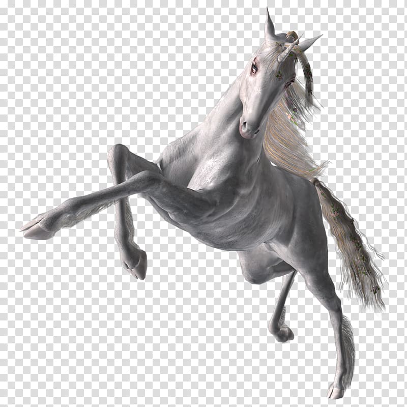 Horse Halter Mane Stallion Unicorn, horse transparent background PNG clipart