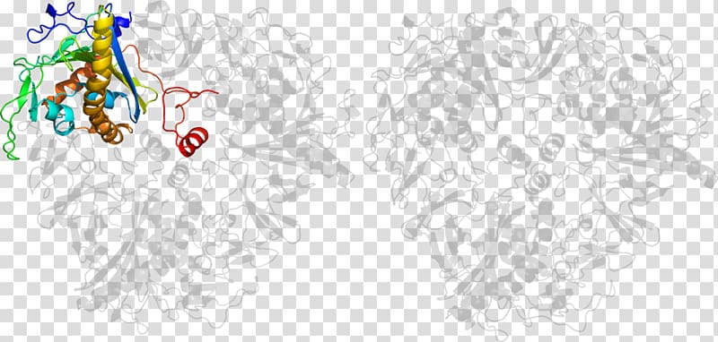 Line art Drawing Graphic design, others transparent background PNG clipart