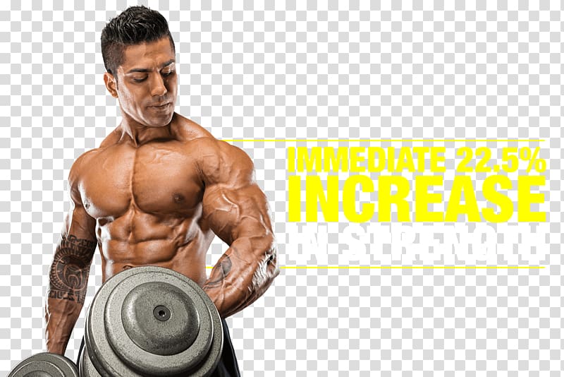 Muscle hypertrophy Bodybuilding Physical fitness Protein, bodybuilding transparent background PNG clipart
