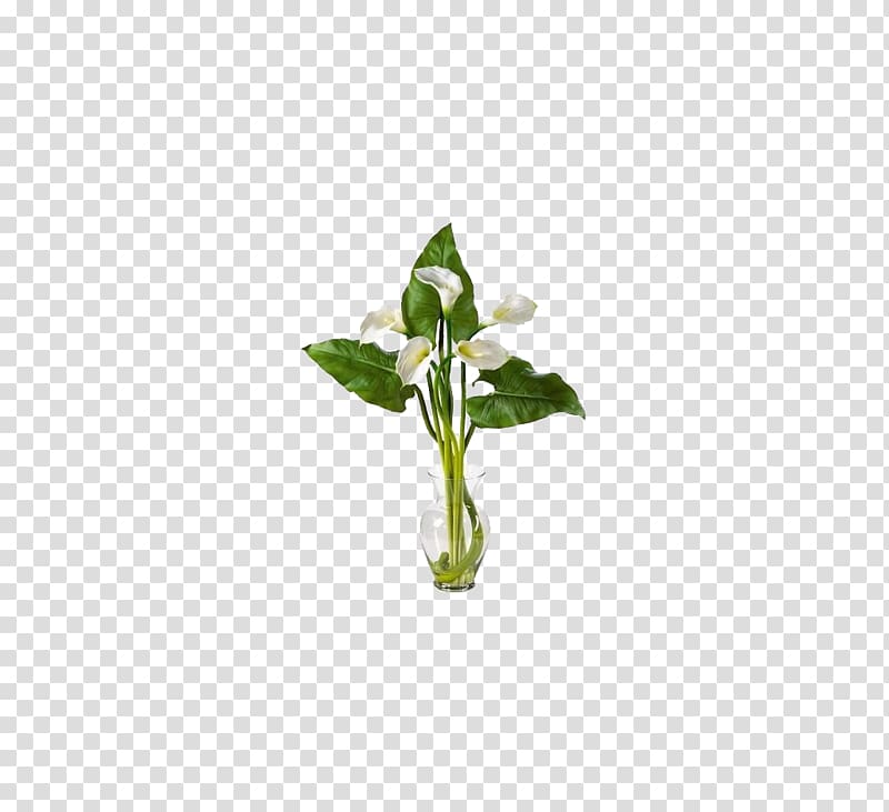Artificial flower Arum-lily Floristry Callalily, vase transparent background PNG clipart