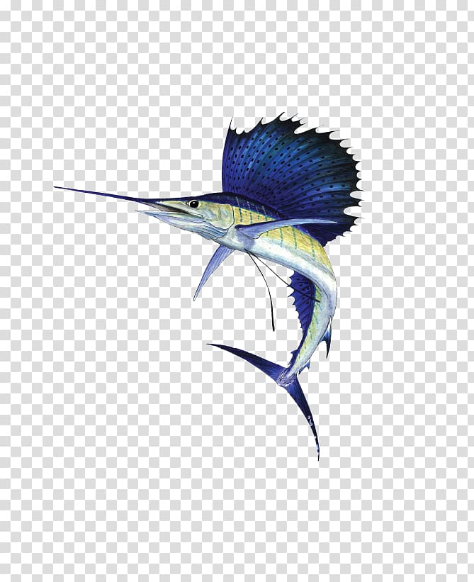 Atlantic sailfish Indo-Pacific sailfish Portraits from the Deep Animal Sailfish OS, L transparent background PNG clipart