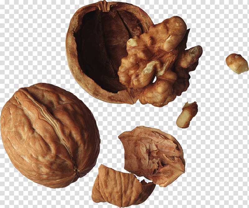 Portable Network Graphics Eastern black walnut Desktop , walnut transparent background PNG clipart