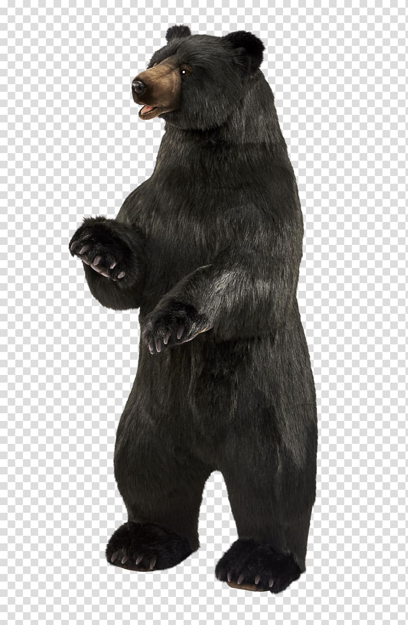 bear PNG transparent image download, size: 620x752px