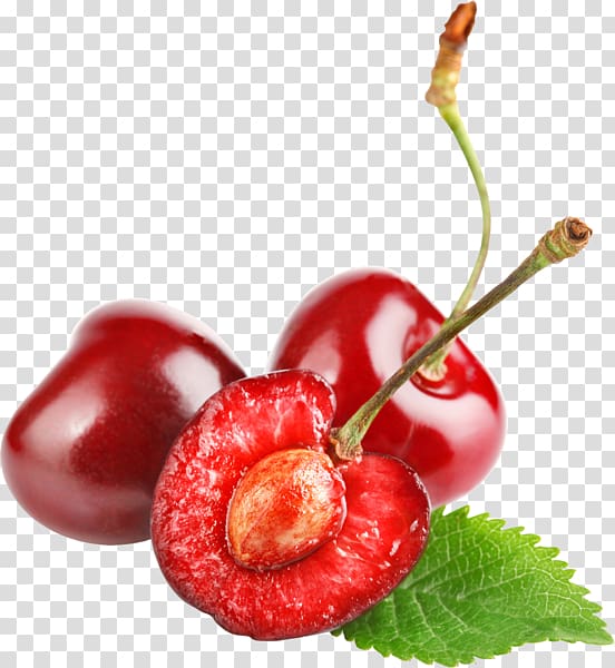 Vaisiaus kauliukas Sweet Cherry Cerasus Berry, cherry transparent background PNG clipart