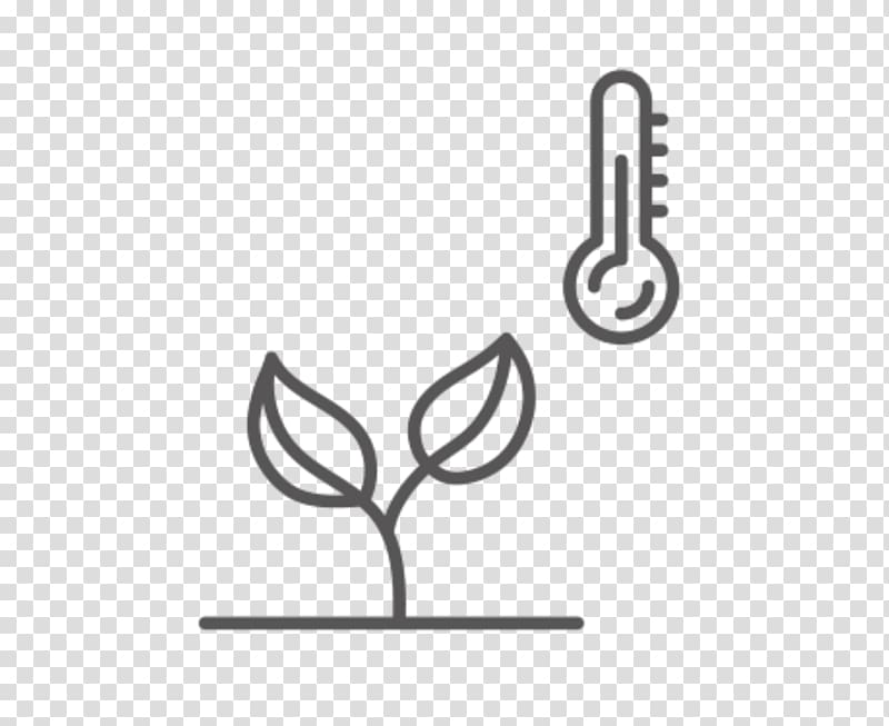 Plants Seed Fruit tree Design Logo, prunus dulcis transparent background PNG clipart