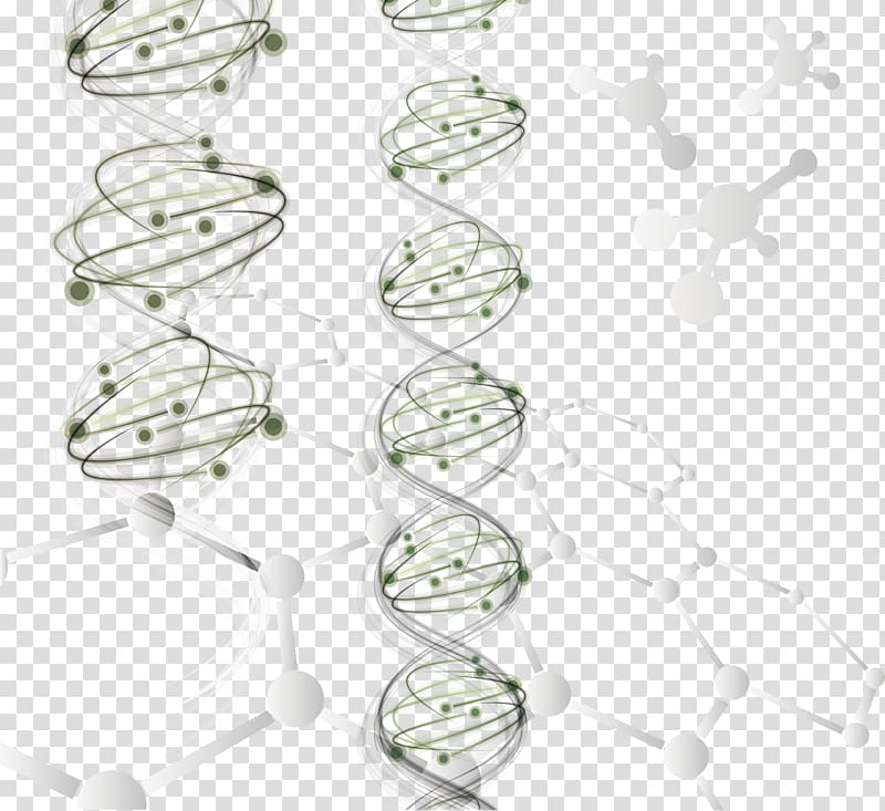 Gene DNA Helix, Chain gene transparent background PNG clipart