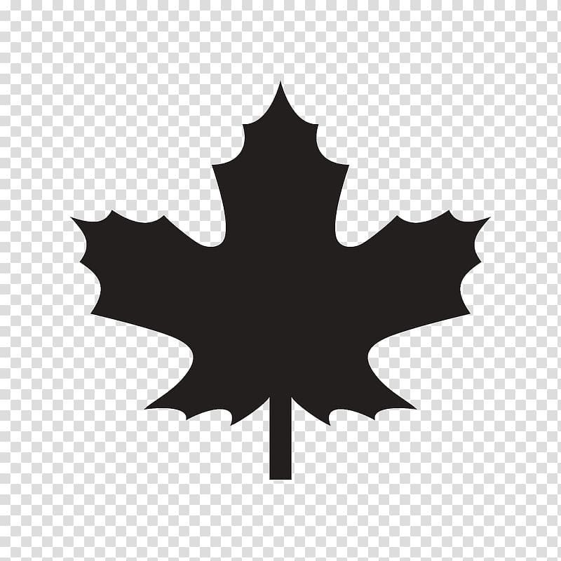Maple leaf Canada , Leaf transparent background PNG clipart | HiClipart
