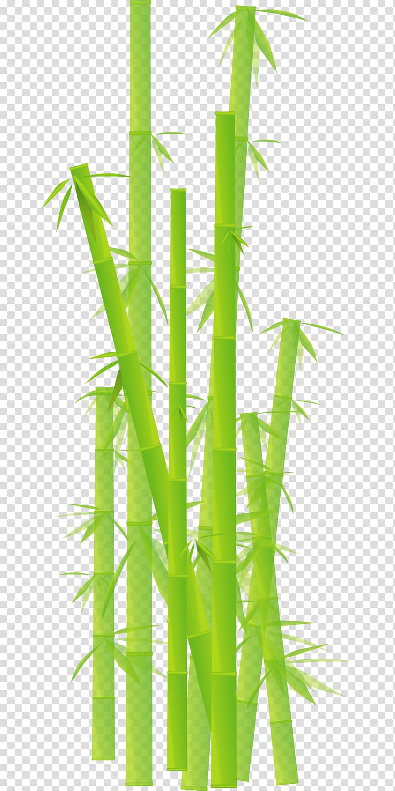 Bamboo Desktop , plants transparent background PNG clipart