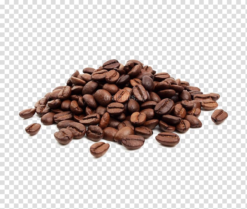 Coffee bean Cafe Jamaican Blue Mountain Coffee Single-origin coffee, Coffee transparent background PNG clipart