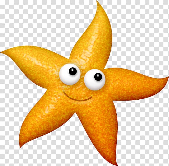 orange star with face , Starfish Sea Drawing , Golden Starfish transparent background PNG clipart