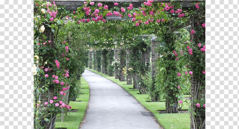 Pergola Royal Botanic Gardens, Kew Vine Rose, garden estate transparent background PNG clipart