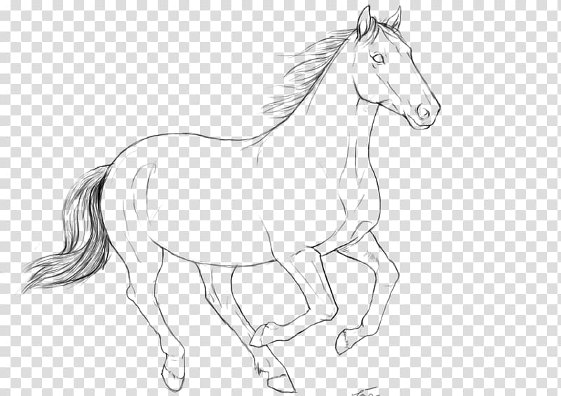 Mustang Gallop Foal Stallion Pony, galloping horse transparent background PNG clipart