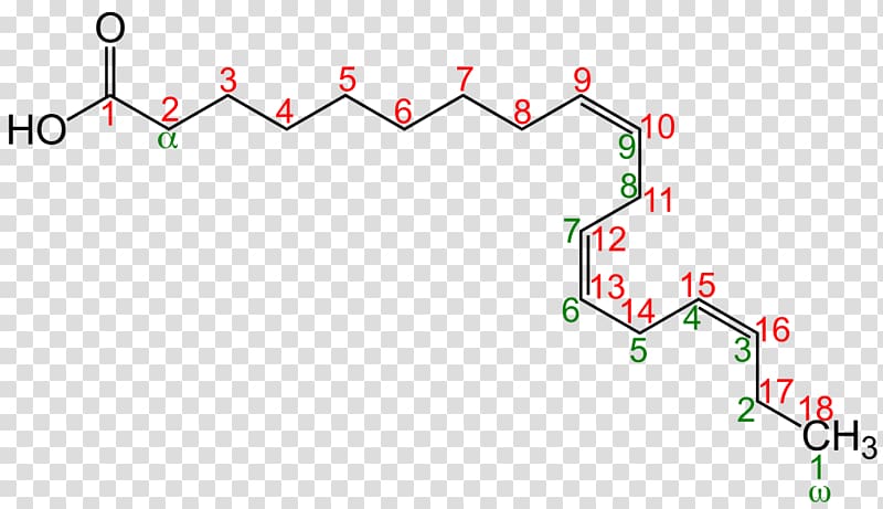 Fatty acid desaturase Locant Linoleic acid, Nomenclature transparent background PNG clipart