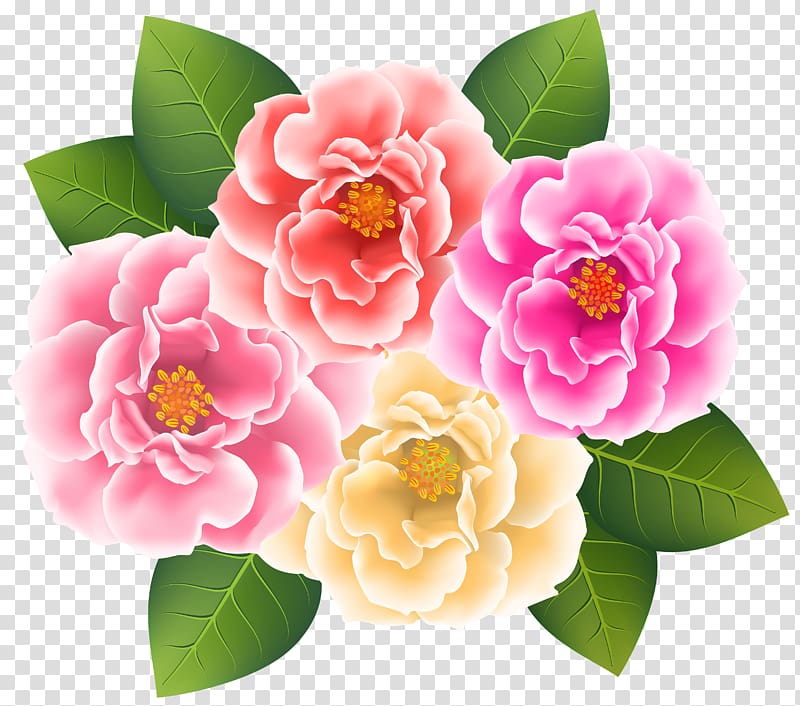 pink, red, and yellow flowers illustration, file formats Lossless compression, Roses transparent background PNG clipart