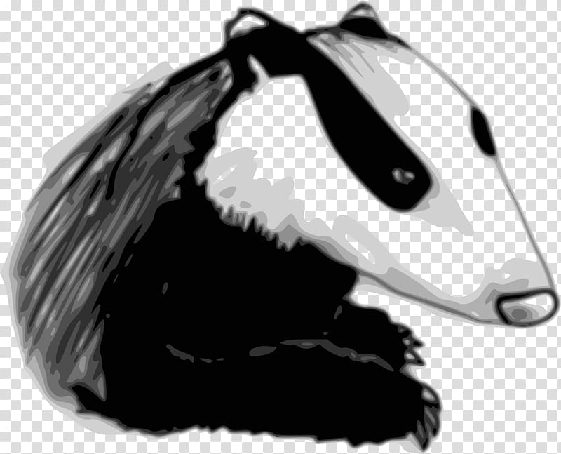 European badger Drawing , others transparent background PNG clipart