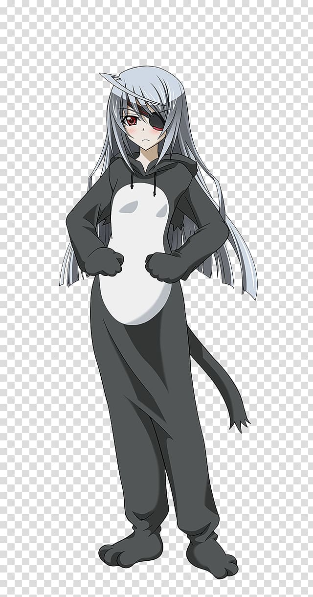 Infinite Stratos Cat Anime Illustration Mammal, Cat transparent background PNG clipart