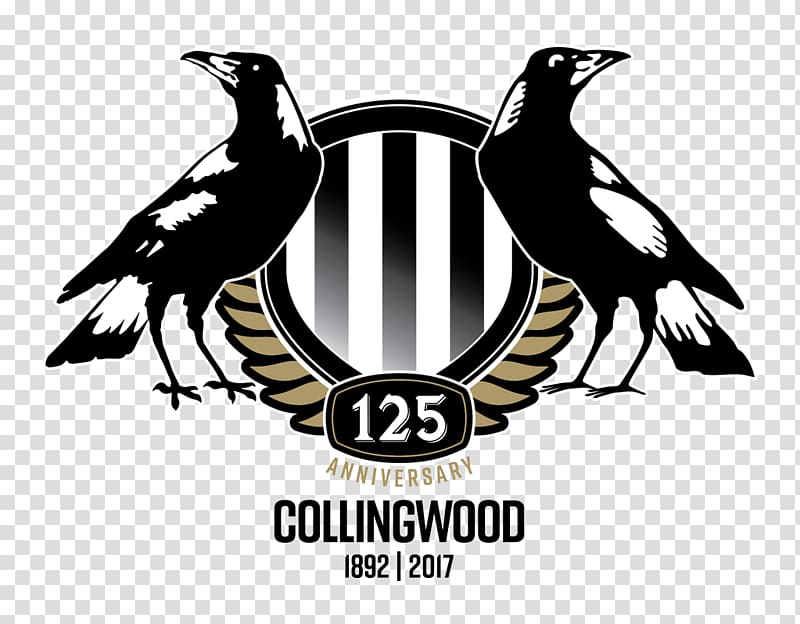 2018 Collingwood Football Club season Westpac Centre 2017 AFL season 2017 Collingwood Football Club season, afl transparent background PNG clipart