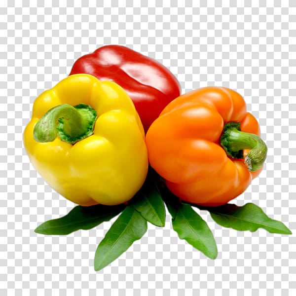 Piquillo pepper Bell pepper Chili pepper Vegetable Cayenne pepper, Savoy cabbage transparent background PNG clipart
