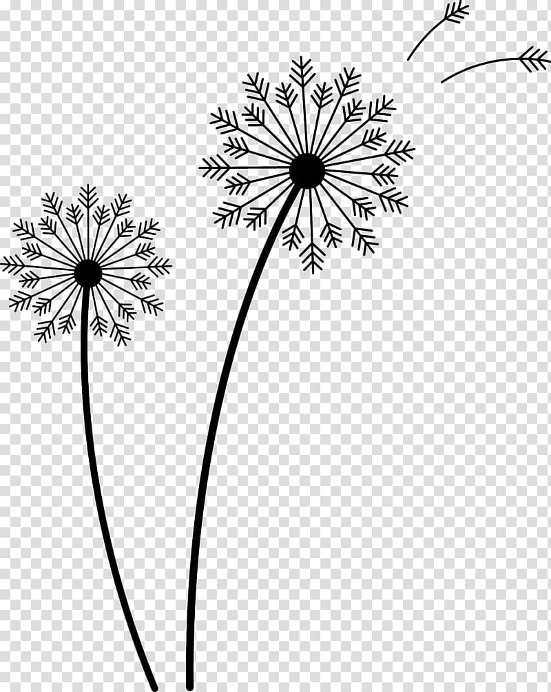 Drawing Common Dandelion , dandelion logo transparent background PNG clipart