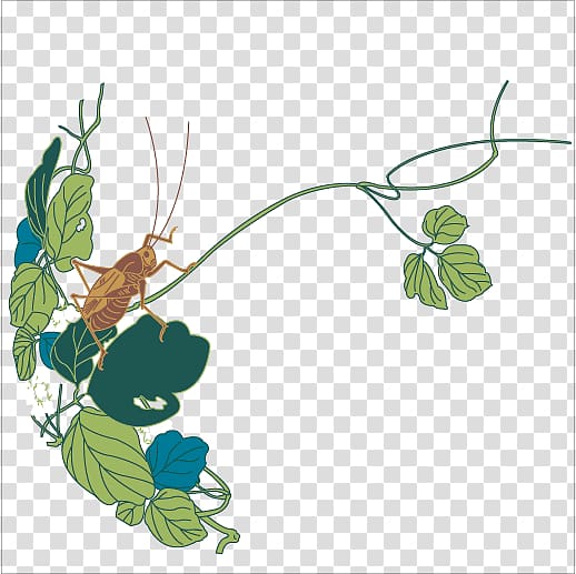 Bush crickets Insect Illustration, grasshopper transparent background PNG clipart