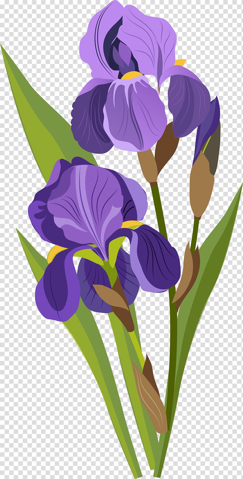 purple flowers drawing