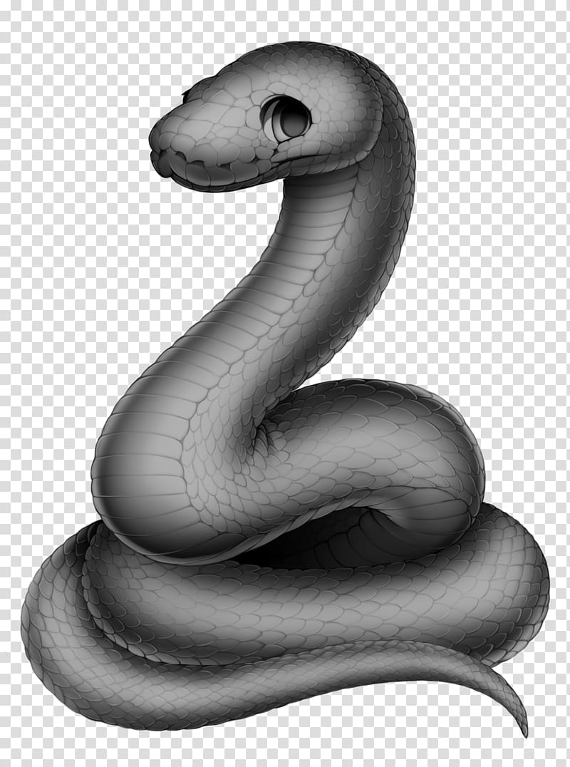 Cape file snake Serpent Cobra, snake transparent background PNG clipart