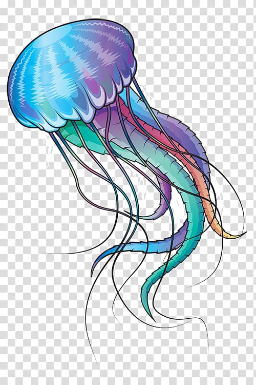 multicolored jellyfish , Blue jellyfish Marine invertebrates Ocean, jelly transparent background PNG clipart