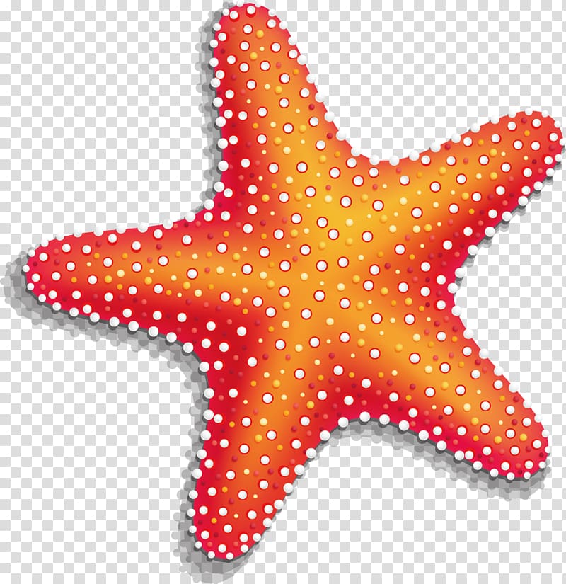 Starfish , Starfish material transparent background PNG clipart