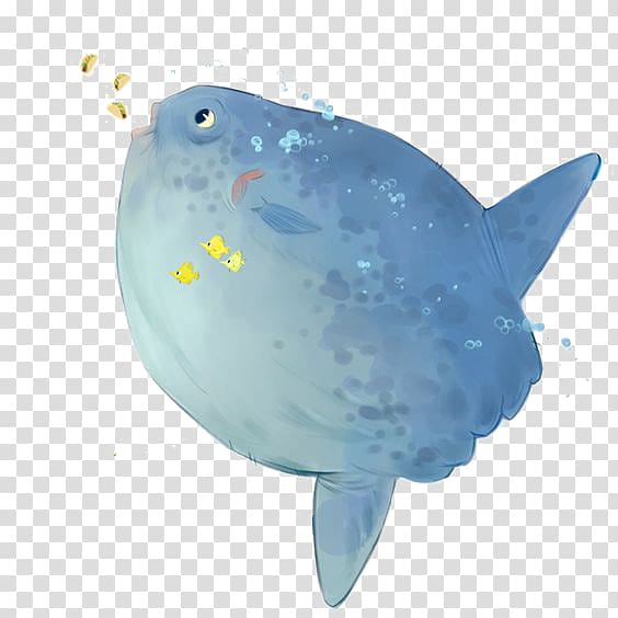 Right whales Blue whale, whale transparent background PNG clipart