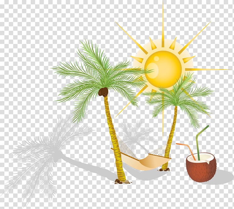 Hammock Arecaceae , coconut trees transparent background PNG clipart