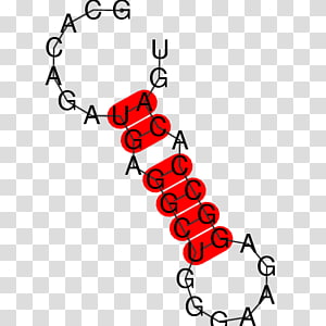 Line Point Angle , line transparent background PNG clipart thumbnail