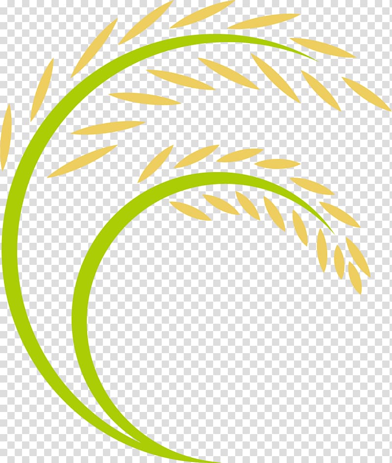 yellow and green wheat , Rice Logo, Cartoon rice ears transparent background PNG clipart