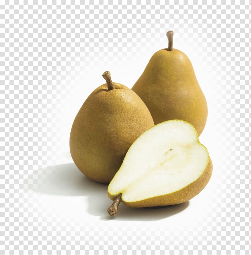 David J Elliot & Son Food Crisp Taylor\'s gold Bosc pear, pear transparent background PNG clipart