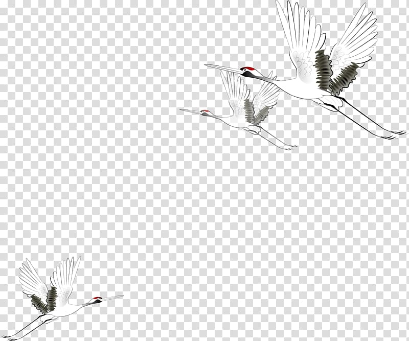 Crane Ink wash painting Drawing, Crane, crane, transparent background PNG clipart