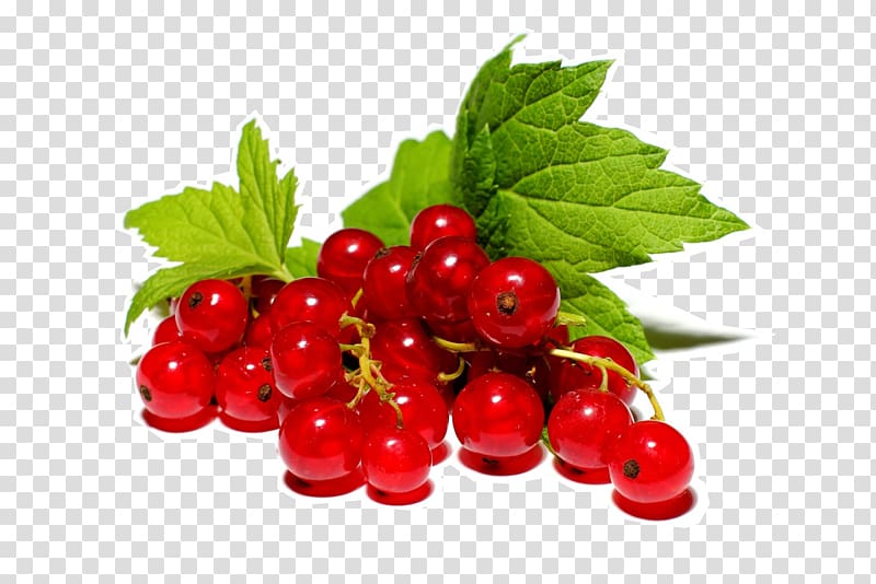 Redcurrant Fruit Berry Marmalade Blackcurrant, others transparent background PNG clipart
