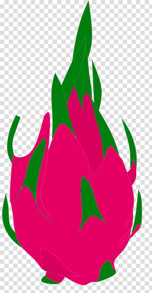 Pitaya Fruit Chili pepper , dragon fruit transparent background PNG clipart