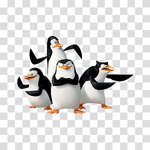 Madagascar penguins transparent background PNG clipart