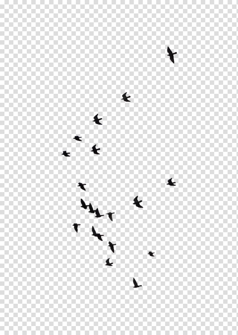 Bird Icon, Toward the distant flying bird transparent background PNG clipart