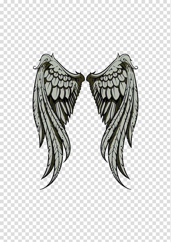 Drawing Illustration, Wings transparent background PNG clipart