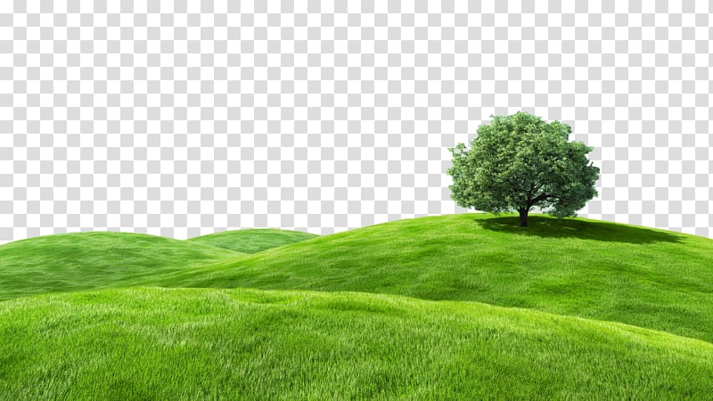 Desktop Bliss Grassland Landscape Advertising, tam tam transparent background PNG clipart