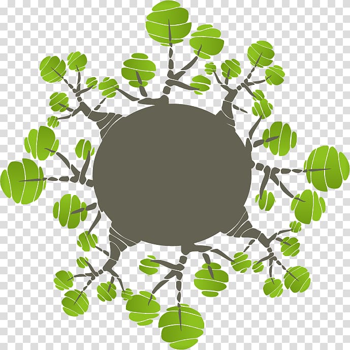 Branch Tree Aastarxf5ngad, Cartoon tree ring transparent background PNG clipart