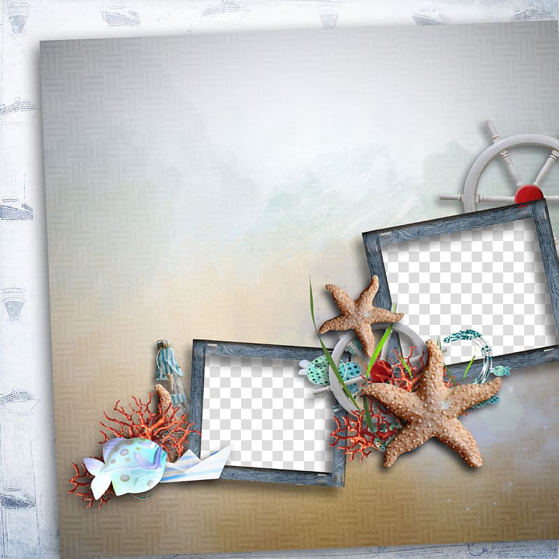 frame Starfish Paper, Starfish Frame transparent background PNG clipart
