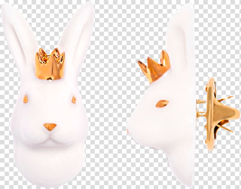 Domestic rabbit Hare Ear, European Rabbit transparent background PNG clipart