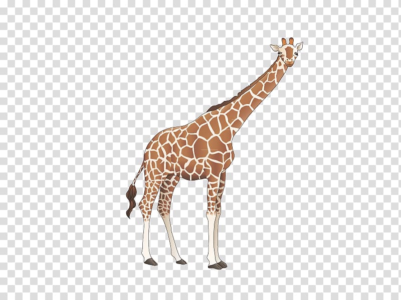 Giraffe Cartoon, Giraffe cartoon material transparent background PNG clipart